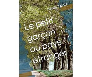 Le petit garçon au pays étranger