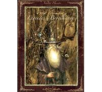Le petit grimoire des légendes de Brocéliande - Xavier Husson - Au Bord Des Continents - cartonné - Bande dessinée