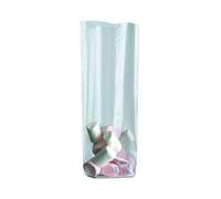 Le Petit Mitron 100 Sachet Fond Carton argenté Transparent de 90x160mm