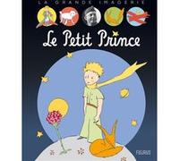 Le petit Prince Sabine Boccador (Auteur), Fleurus Editions (Auteur)