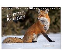 LE PETIT ROUQUIN (Calendrier mural 2026 DIN A4 vertical), CALVENDO calendrier mensuel: 13 photos de renards au fil des quatre saisons