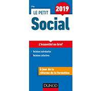 Le Petit Social 2019 - L'essentiel en bref: L'essentiel en bref (2019)