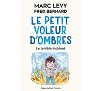 Le Petit Voleur d'ombres - Tome 3 : Le terrible incident - Format souple (3)