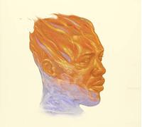 Le Phenix Il Etait Plusieurs Fois [Import]