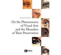 Le phénomène des arts visuels et les méandres de leur préservation