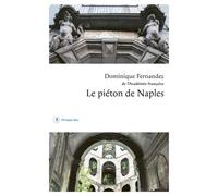 Le piéton de Naples - Dominique Fernandez - Philippe Rey - broché - Roman