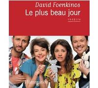 Le plus beau jour David Foenkinos (Auteur)