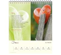 Le plus beau moment aujourd'hui est 2024: Calendrier annuel d'Eschbach