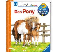 Le poney