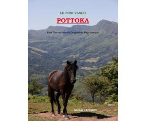 Le poni vasco POTTOKA : Petit Cheval Primitif Originel du Pays basque