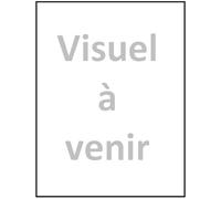 Le pont du Rhône à Lyon: Oeuvre et fabrique : des origines à la Renaissance