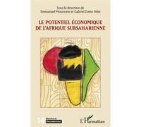 Le potentiel économique de l'Afrique subsaharienne Gabriel Zomo Yebe (Auteur), Emmanuel Moussone (Auteur)