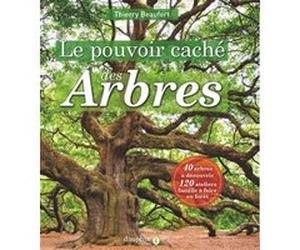 Le pouvoir caché des arbres Thierry Beaufort (Auteur)