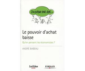 Le pouvoir d'achat baisse Qu'en pensent les économistes ? - André Babeau - Eyrolles - broché - Etude