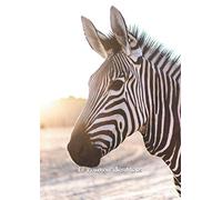 Le Pouvoir des Mots: Zèbre - Cahier scolaire - format A4 - petits carreaux - 100 pages