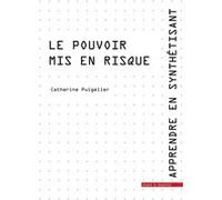 Le pouvoir mis en risque Catherine Puigelier (Auteur)