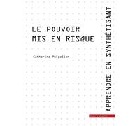 Le pouvoir mis en risque - Catherine Puigelier - Mare & Martin - broché - Essai