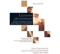 Le pouvoir pré-constituant Alexis Blouët (Auteur)