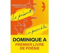 Le présent impossible Dominique Ané (Auteur), Edmond Baudoin (Dessinateur)