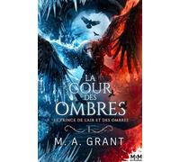 Le prince de l'Air et des Ombres: La Cour des Ombres, T1