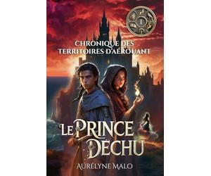 LE PRINCE DÉCHU: Chroniques des Territoires d’Aérouant - Tome 1