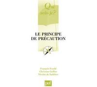 Le Principe De Précaution