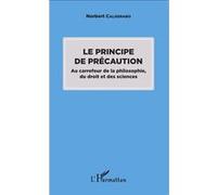 N. Calderaro-Principe de précaution-Au carrefour de la philosophie, du droit et des sciences-Broché