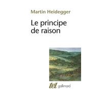 Le Principe de raison