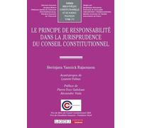 Le principe de responsabilité dans la jurisprudence du Conseil constitutionnel (173)
