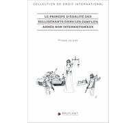 Le principe d'égalité des belligérants dans les conflits armés non internationaux