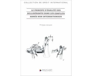 Le principe d'égalité des belligérants dans les conflits armés non internationaux