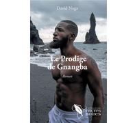 Le Prodige de Gnangba Roman - David Noga - L'harmattan - broché - Roman