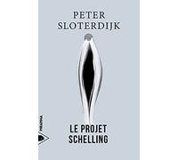 Le projet Schelling