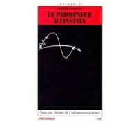 Le Promeneur D'einstein - Vers Une Théorie De L'information Générale