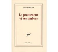 Le promeneur et ses ombres