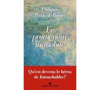 Le Promeneur immobile - Philippe Pozzo di Borgo - Albin Michel - broché - Témoignage
