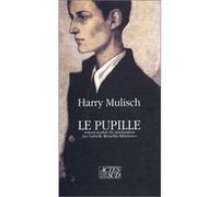 Le pupille Harry Mulisch (Auteur), Isabelle Rosselin (Traduction)