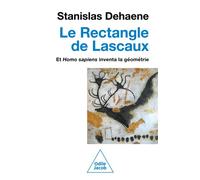 Le Rectangle de Lascaux Et homo sapiens inventa la géométrie - Stanislas Dehaene - Odile Jacob - broché - Essai