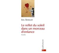 Le reflet du soleil dans un morceau d'enfance - Axel Sénéquier - Quadrature - broché - Nouvelles