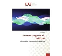 Le reformage sec du méthane Modélisation cinétique et microcinétique - Leila Dehimi - Universitaires Europeennes - broché - Livre