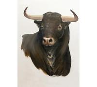 Le Regard de Vincent Poster portrait d'un taureau espagnol #1