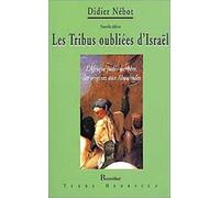 Le règlement en ligne des conflits : Enjeux de la cyberjustice (Droit et technologies)