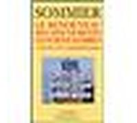 Le Renouveau des mouvements contestataires A l'heure de la mondialisation - Isabelle Sommier - Flammarion - Poche - Essai