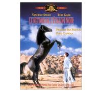 Le Retour De L'étalon Noir