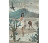 Le rêve de malinche Gonzalo Suárez (Auteur), Pablo Auladell (Auteur)
