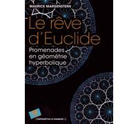 Le rêve d'Euclide: Promenades en géométrie hyperbolique