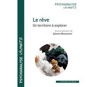 Le rêve Un territoire à explorer - Sylvain Missonnier - In Press Eds - broché - Essai