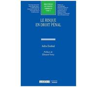 Le Risque En Droit Pénal