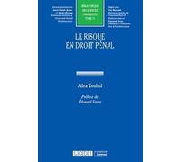 Le risque en droit pénal (Tome 71)