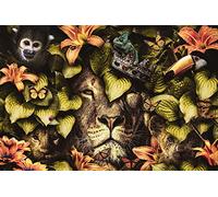 Le roi et ses héritiers